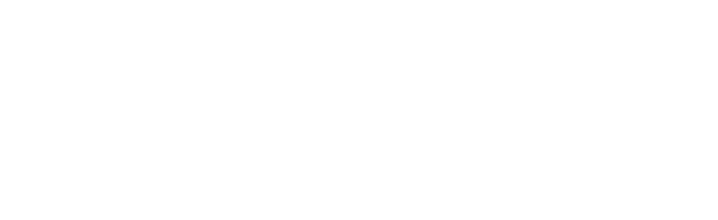 NorthEast Logo